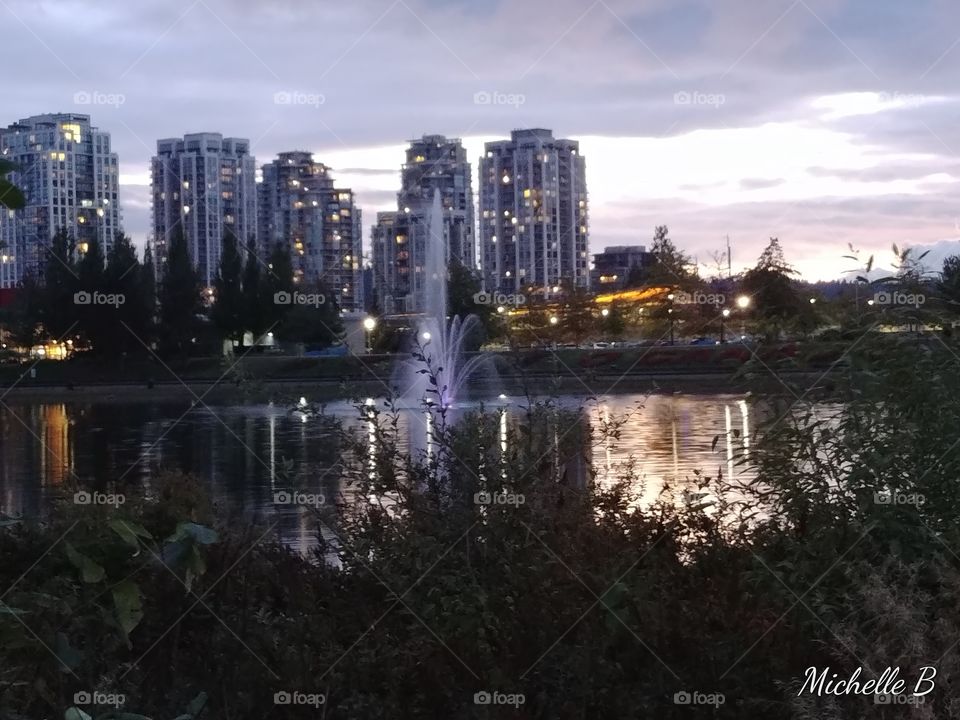 Reflections after the rain