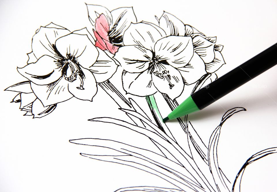 Coloring book. Flowers 