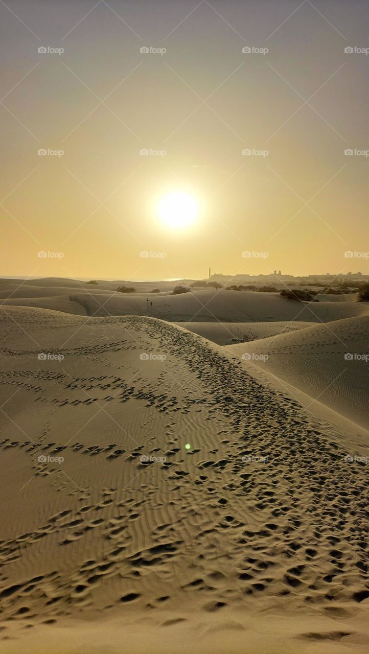 Sand dunes