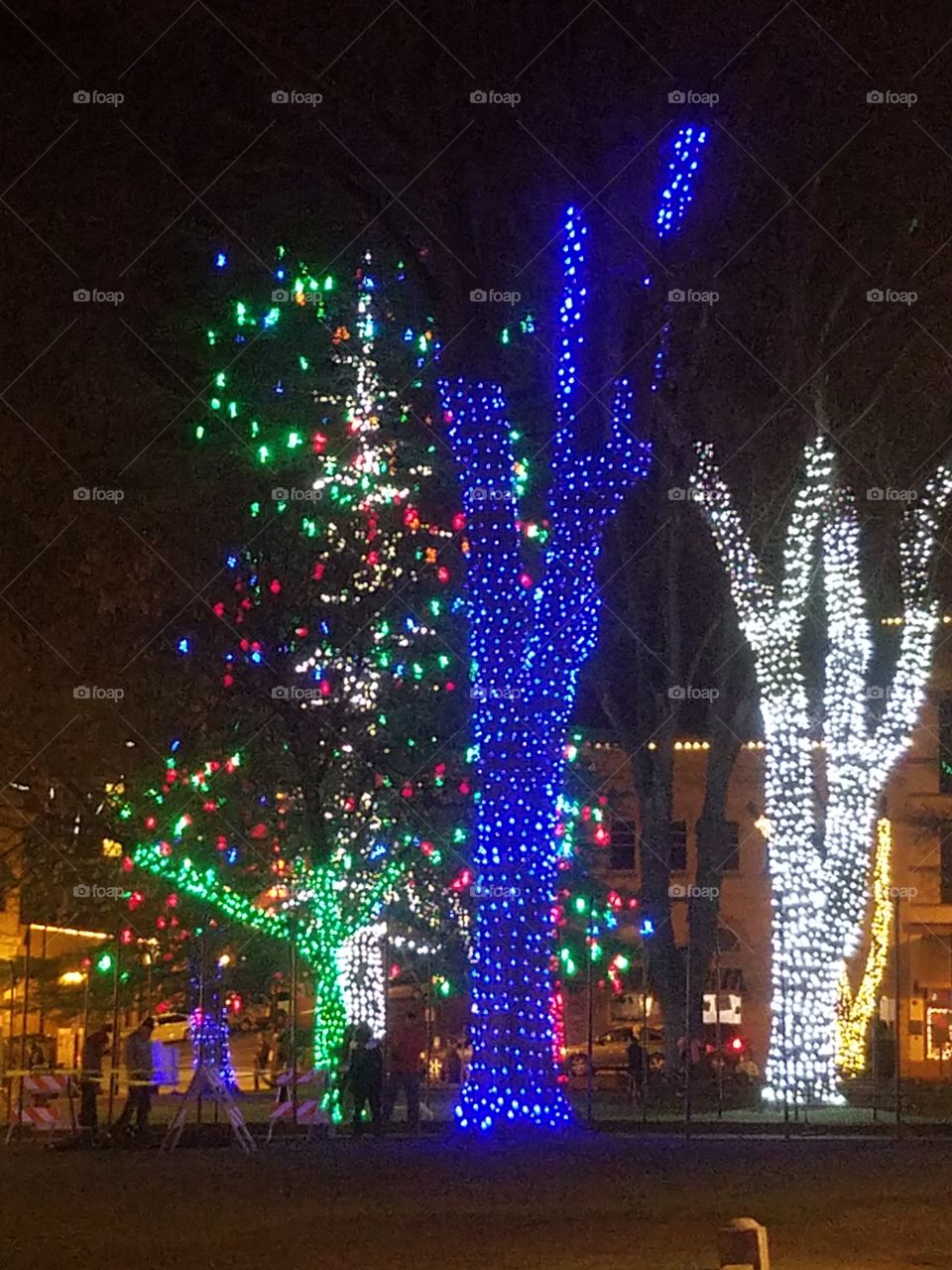 Christmas Tree light show