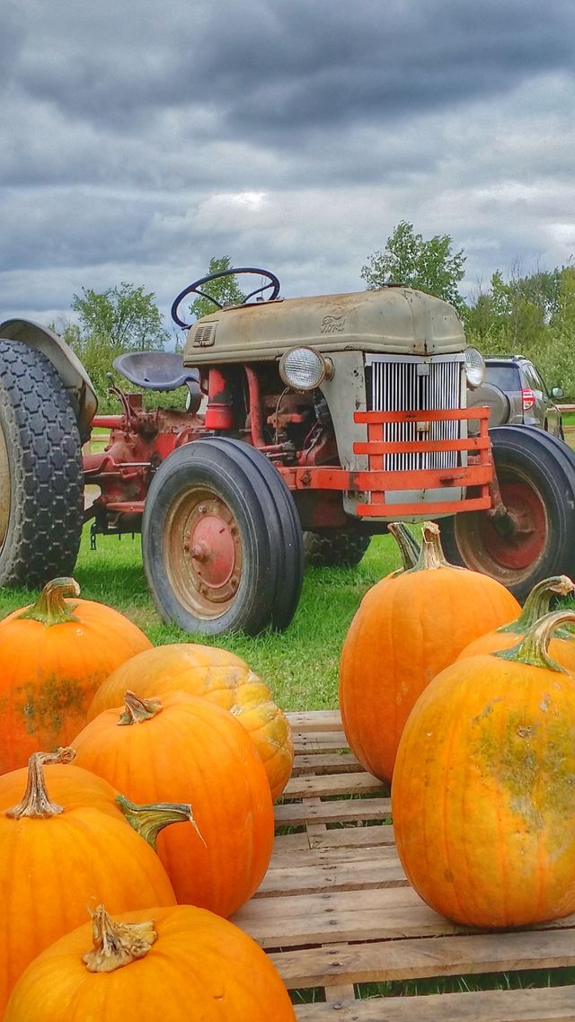 Pumpkin Time
