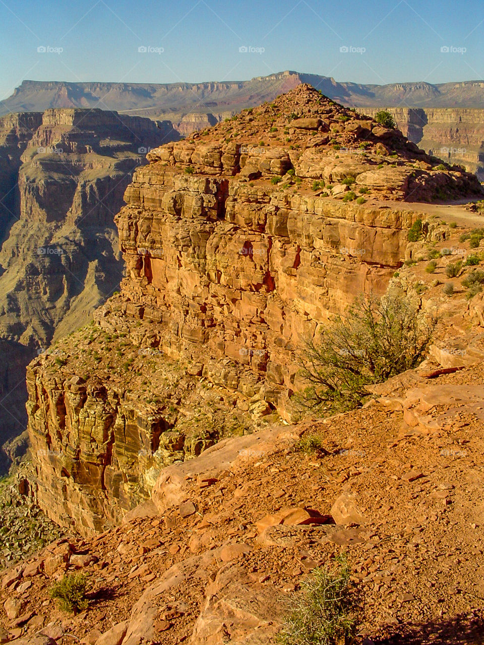 The Grand Canyon 