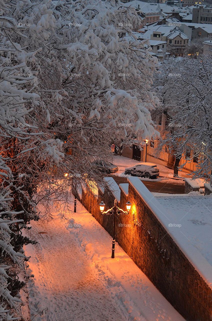 In the City, Night Winter Landscape