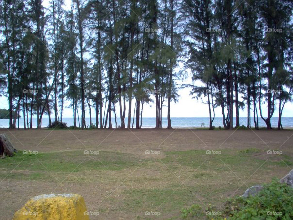 Oahu North Shore Park. One of the parks along the north Shore of Oahu Hawaii.