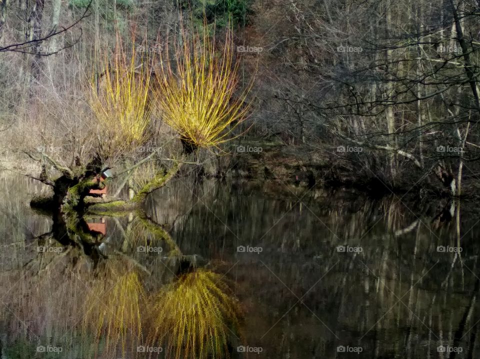 Mirror in Water
Spiegel im Wasser


Spiegel bild