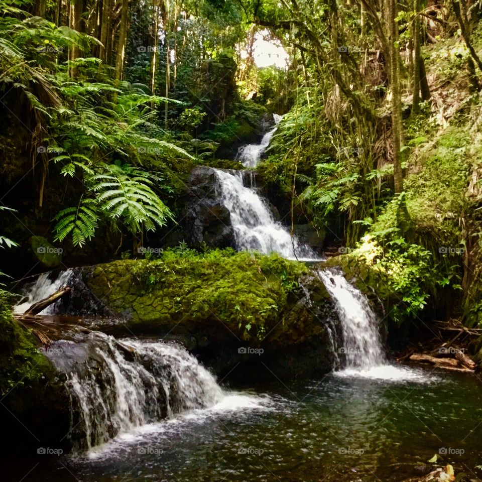 Waterfall at Hawaii Tropical Botanical Garden