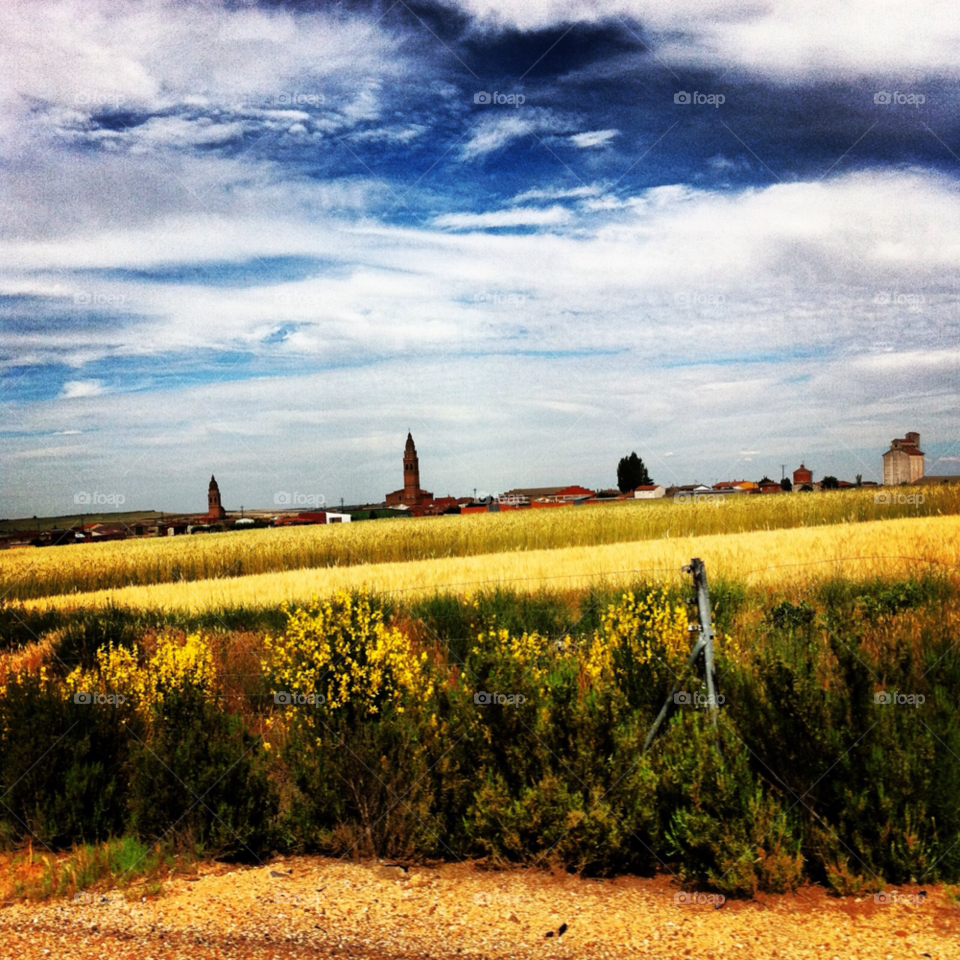 sky flowers field pretty by Zita