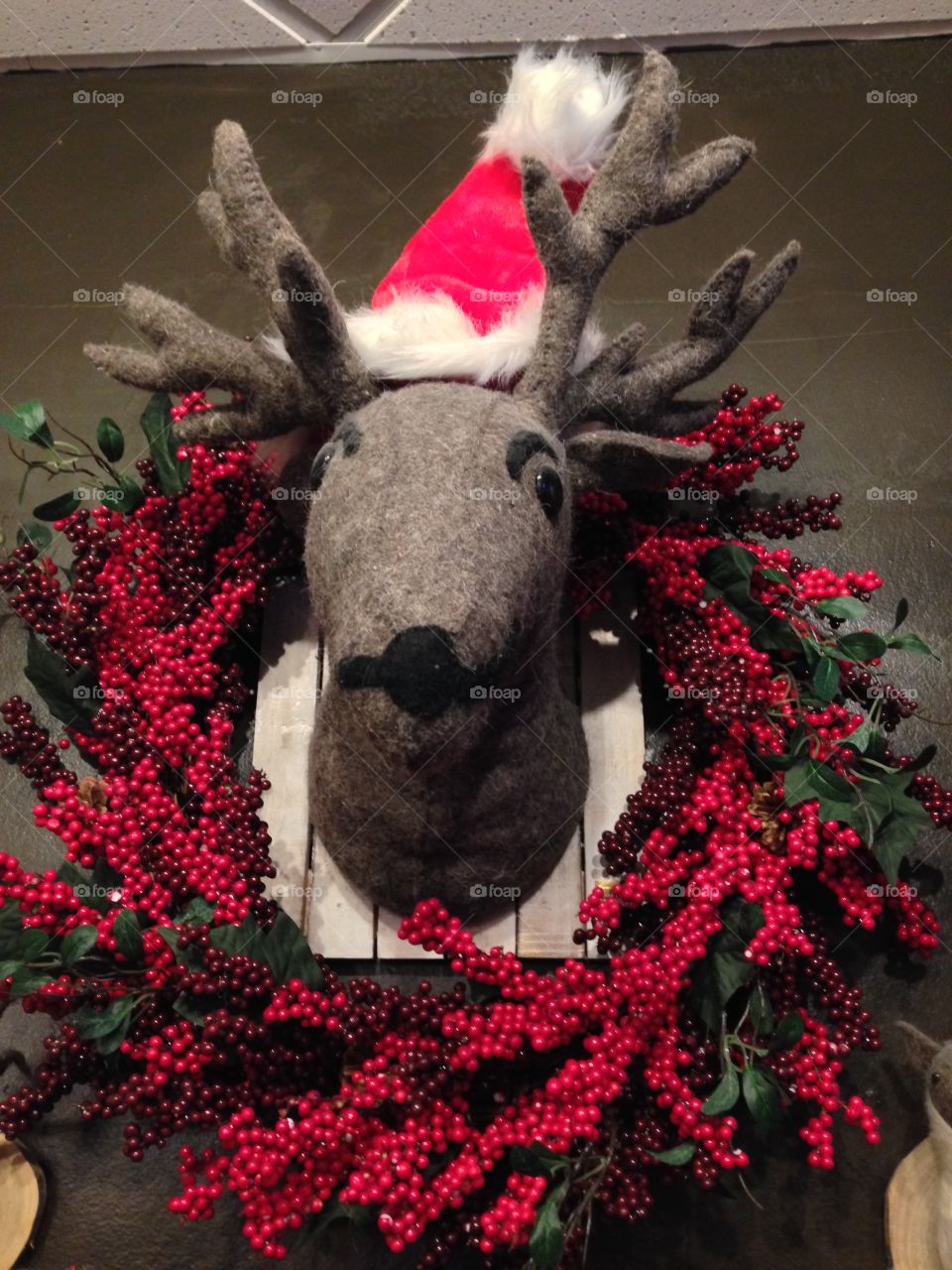Santa's Reindeer 

Published by:
HappyBrownMonkey 