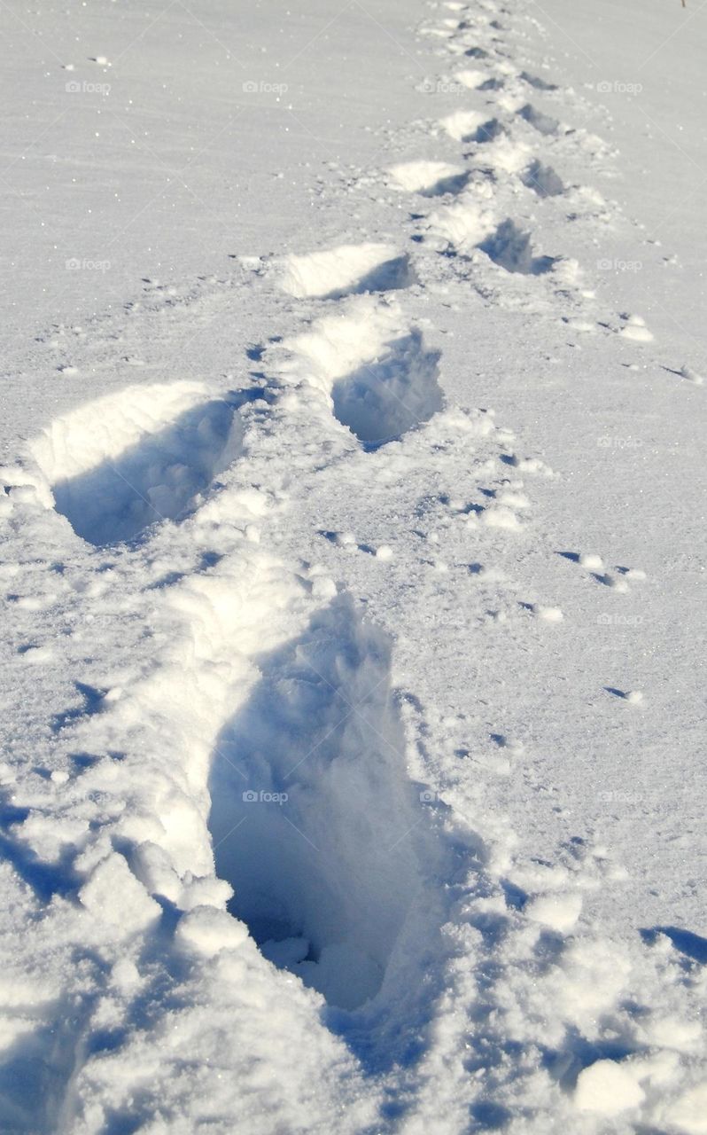 Footprints in the snow 