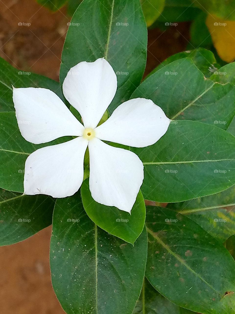 Wake up and be awesome