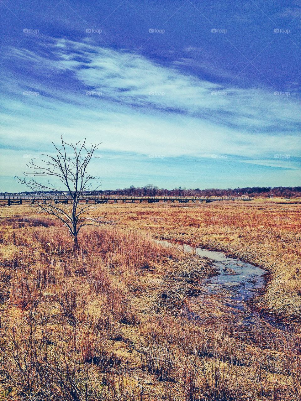 Silver Sands State Park 