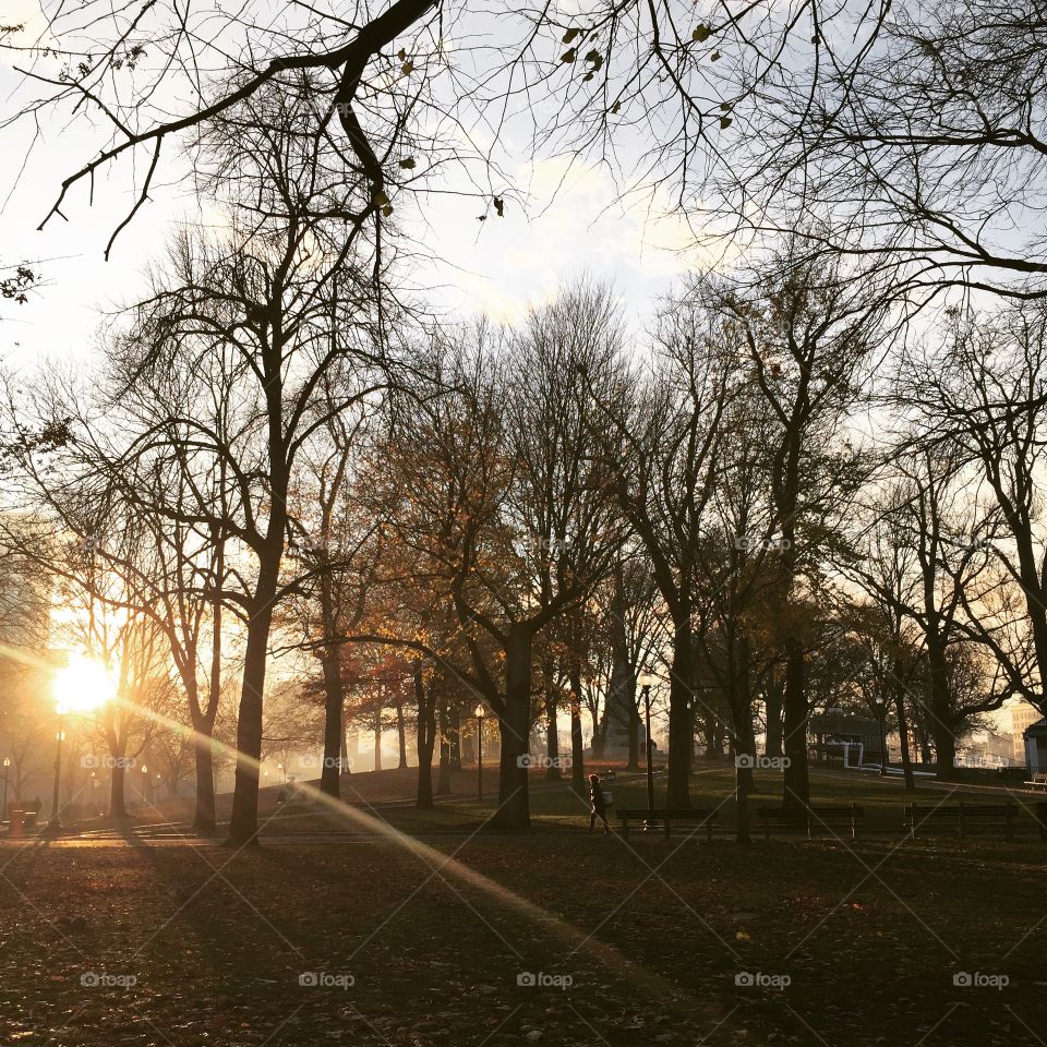 Boston common park sunset