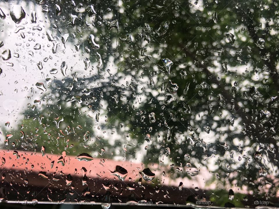 Nature outdoor water background white 