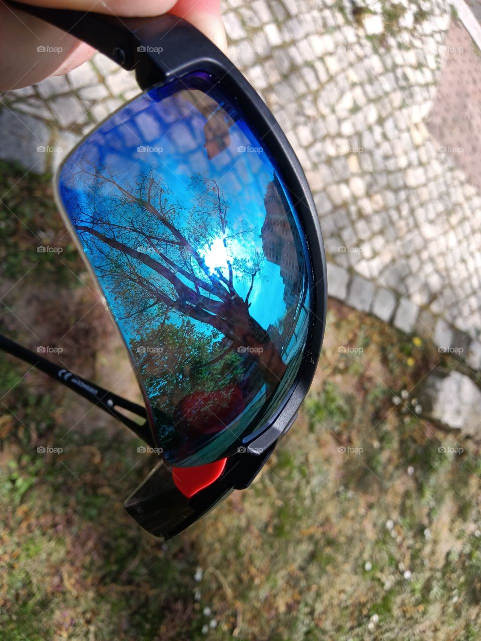 glasses lens
