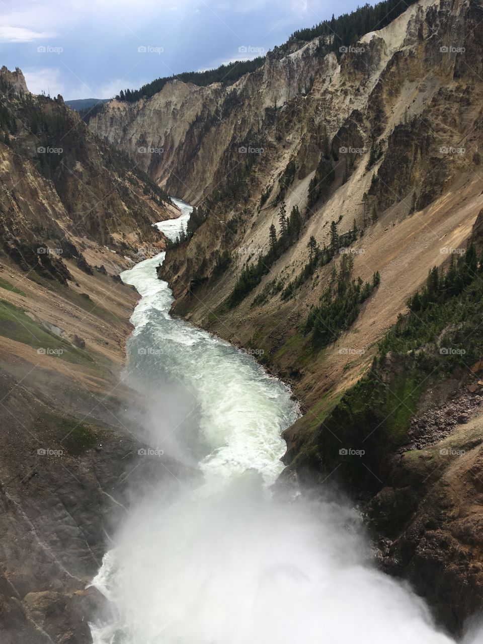 Yellowstone River rushing through the Grand Canyon of Yellowstone