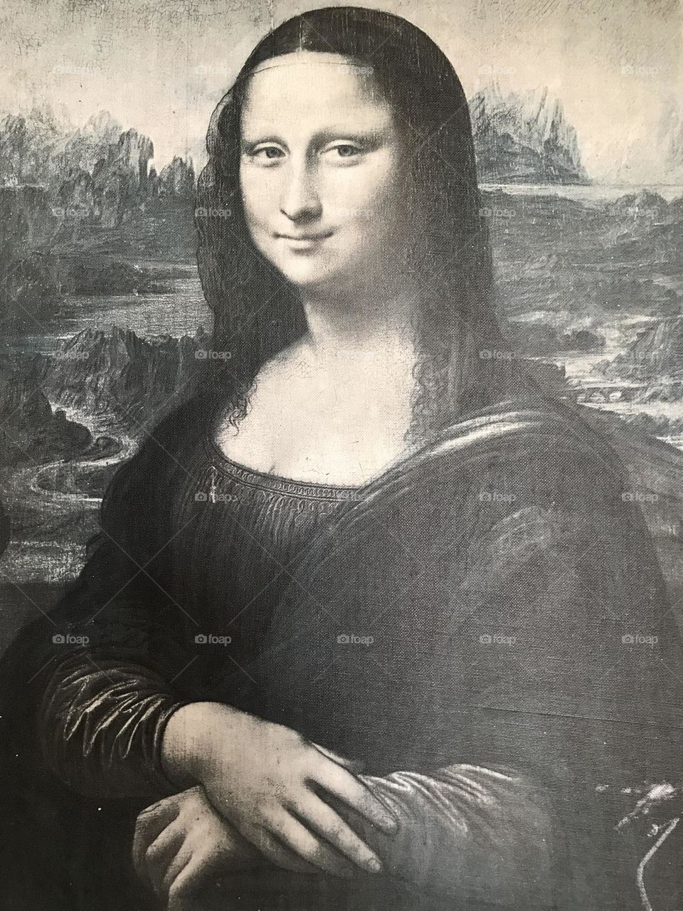 Leonardo da Vinci