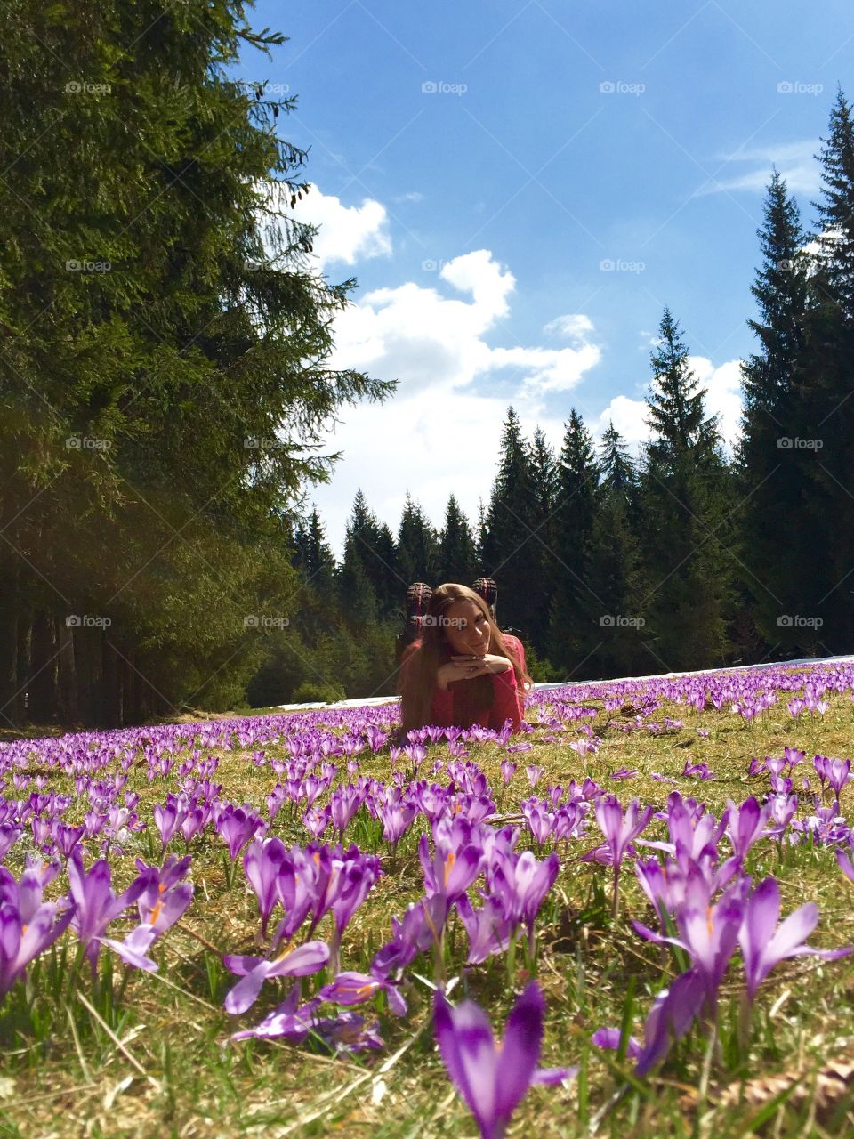 Crocus in magical forest