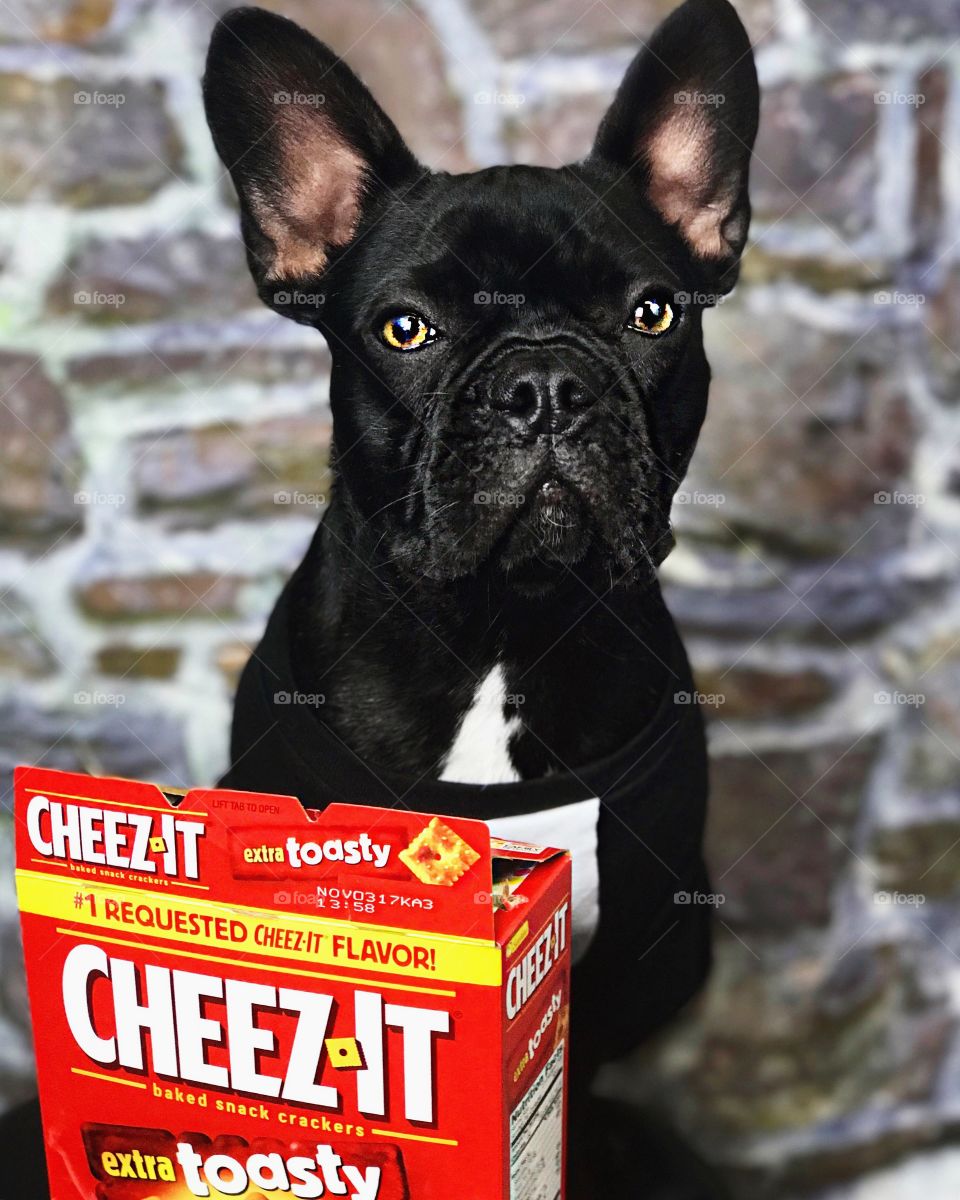 Cheez it's are my life