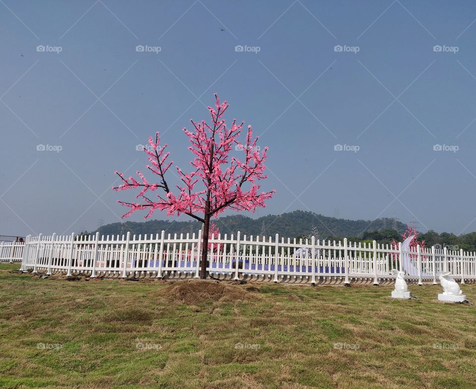 Trees around Us
A colourful tree in the garden
