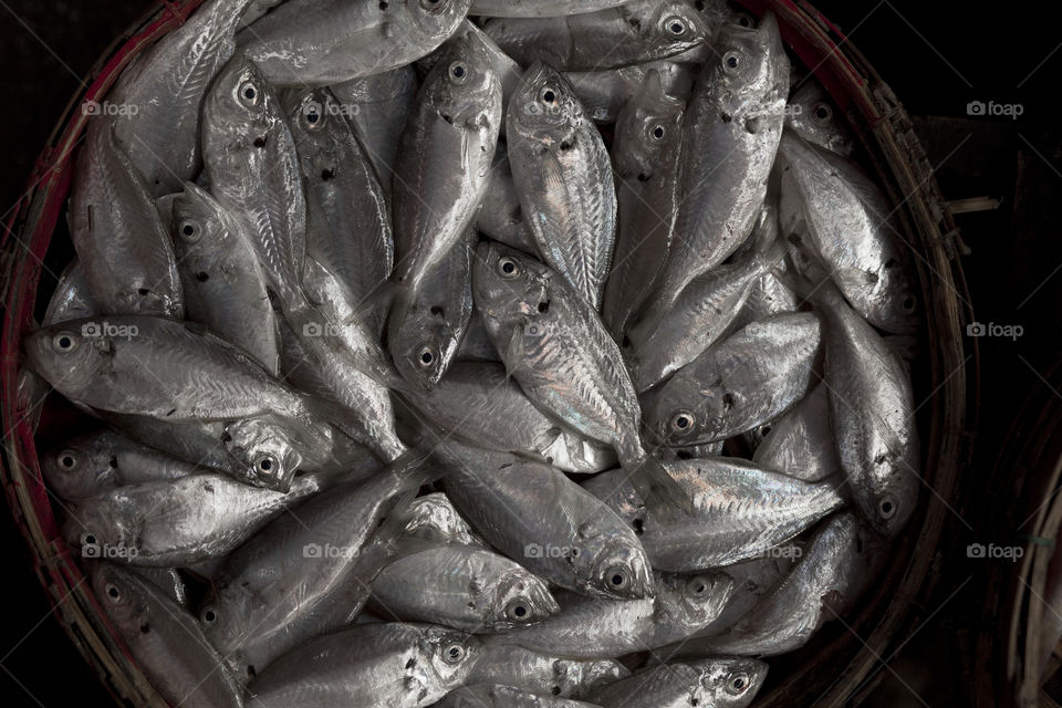 High angle view of fishes in basket