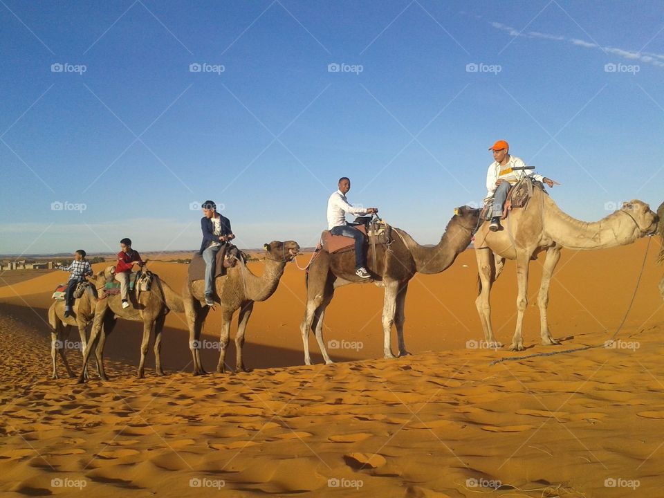Amazing day in SAHARA