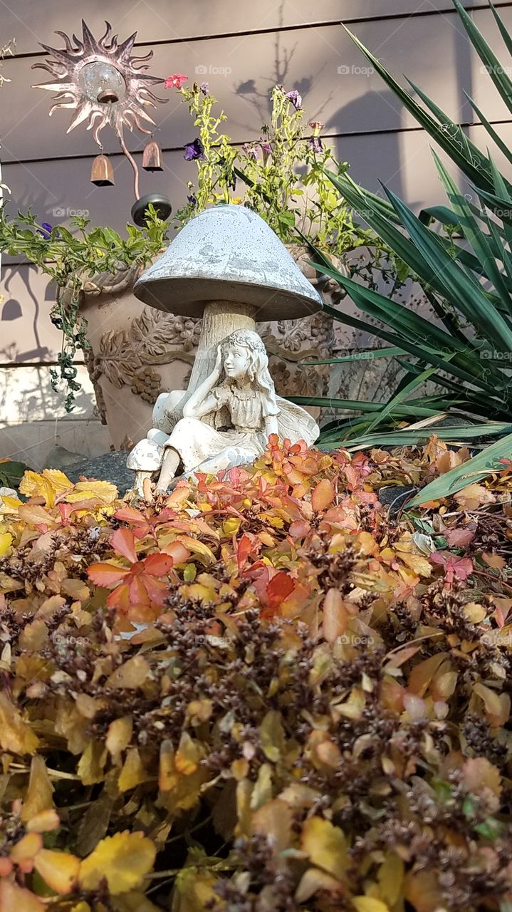 Fall garden