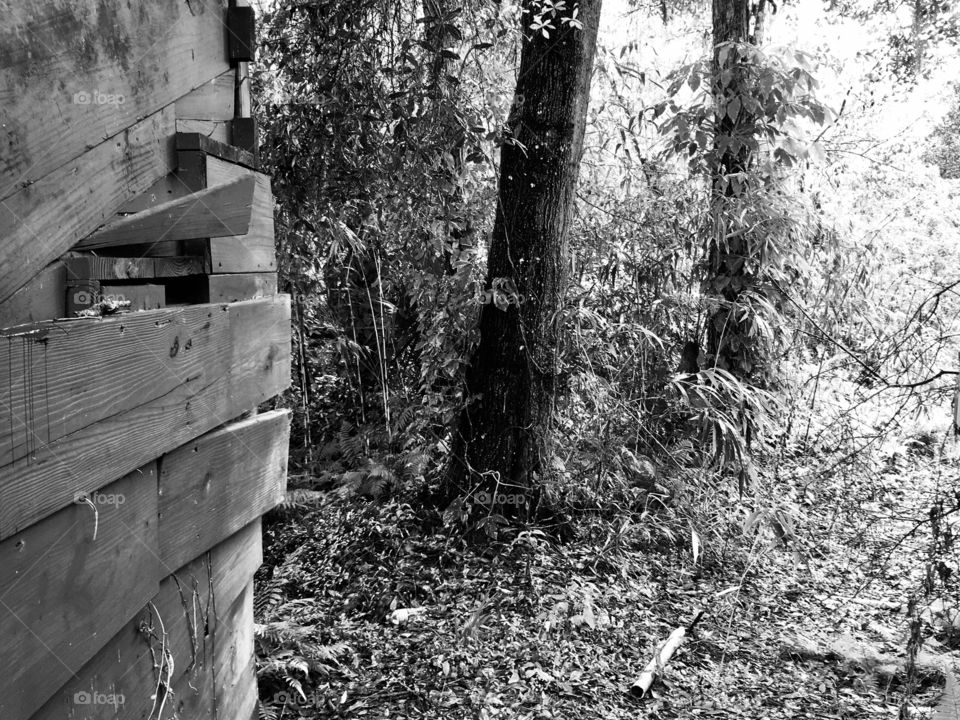 Abandoned Jungleland Zoo