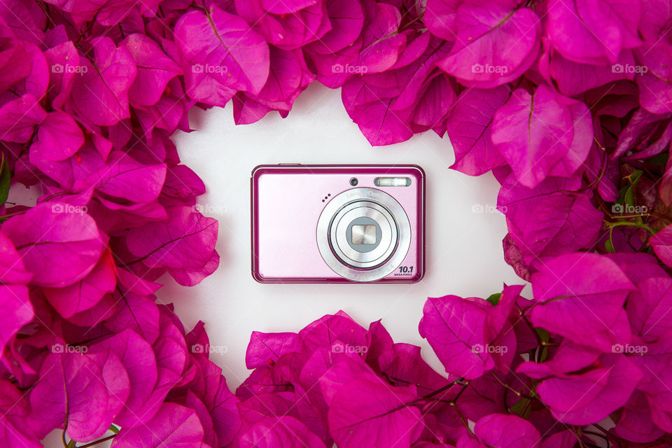 Pink! Flat lay photo of pink camera with pink Bougainvillea flowers on white background