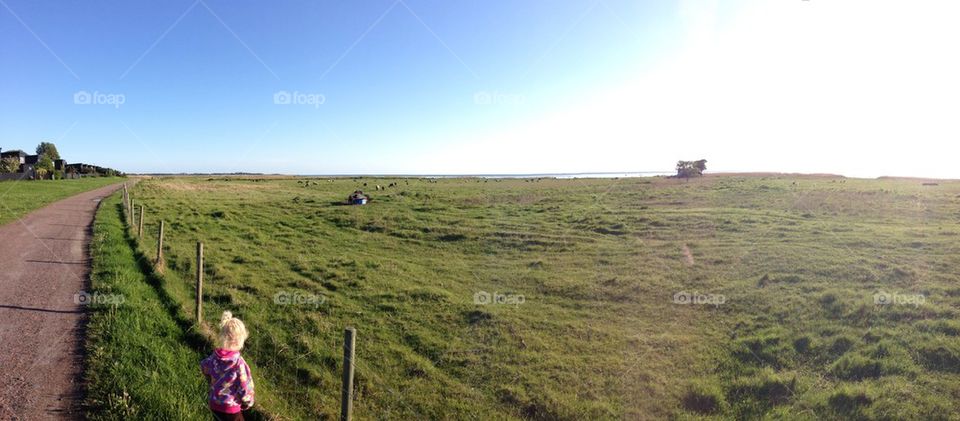 Springtime Bunkeflostrand