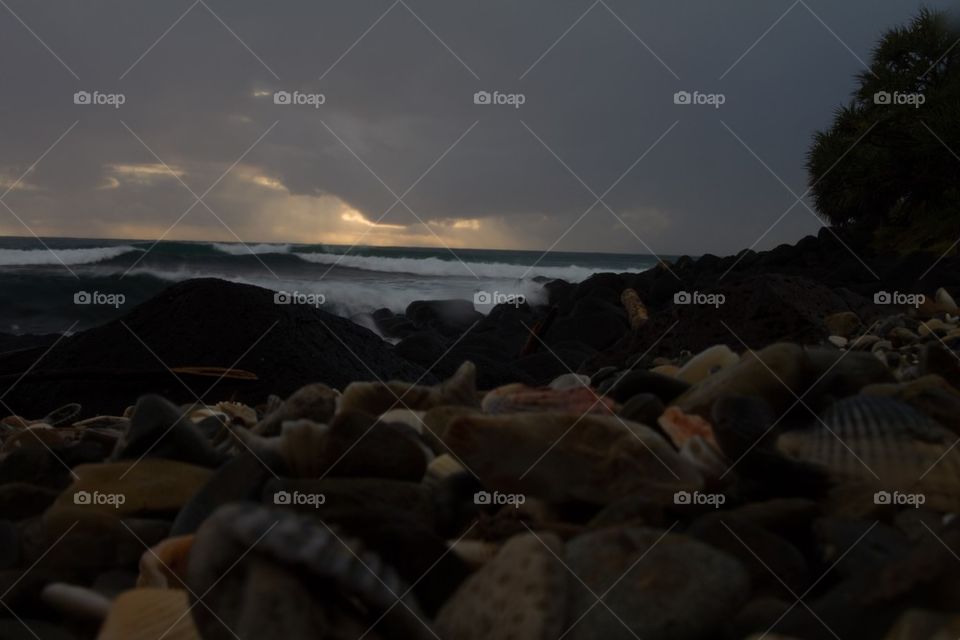 Shells at sunrise