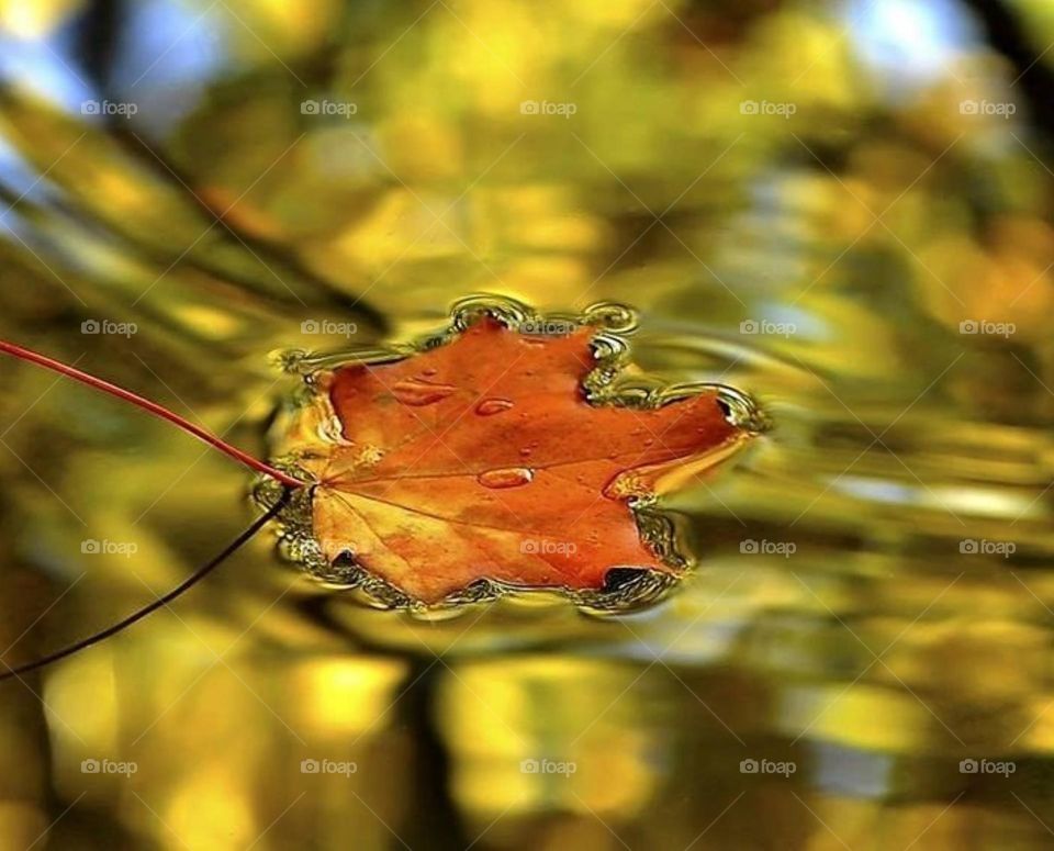 Красота природы