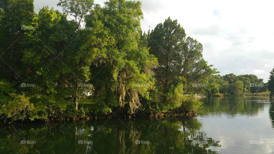 Crystal River. a weekend with my fiance 