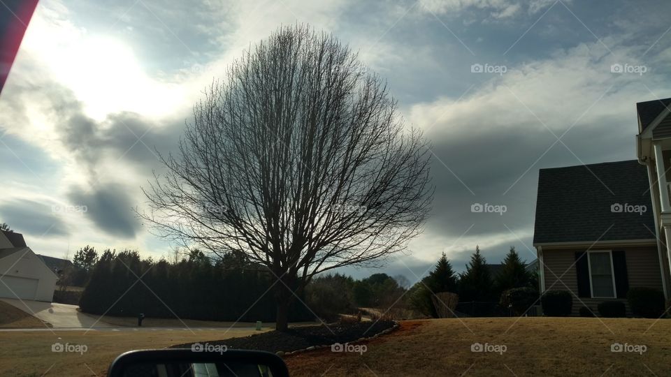 No Person, Tree, Sunset, Storm, Landscape