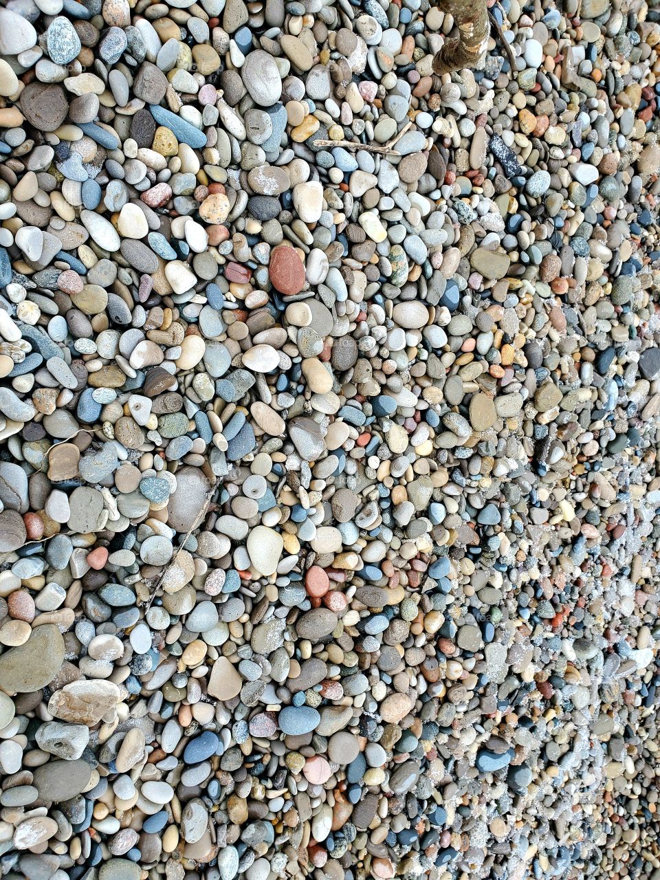 bundle of Rocks on beach