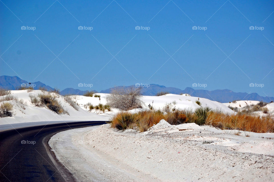 street flora white mountain by refocusphoto