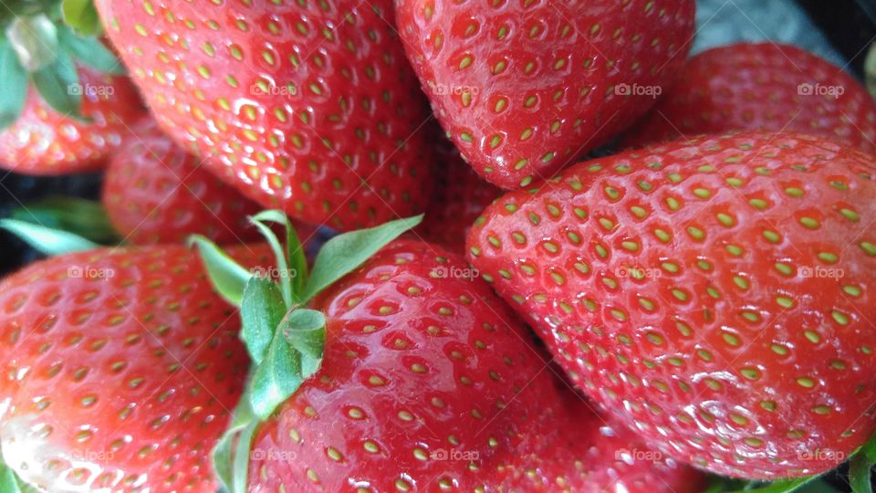 macro close-up of red strawberries