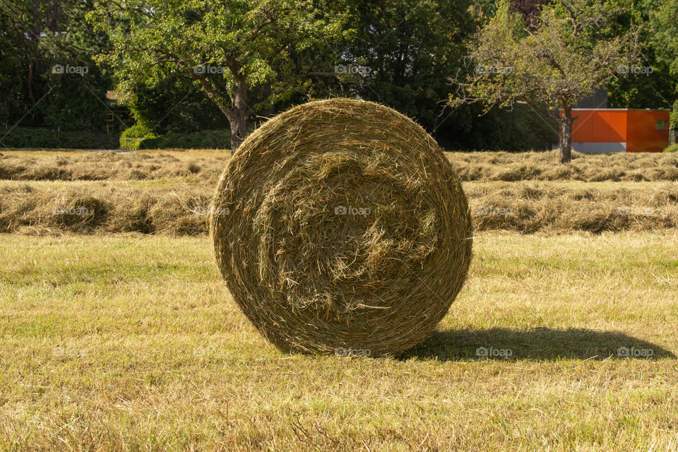 hay bale and shadow