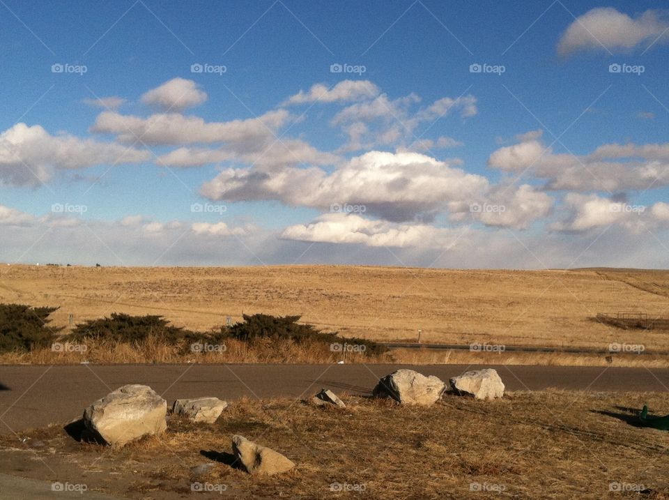 Amber Waives of Grain. Landscape of northern Colorado