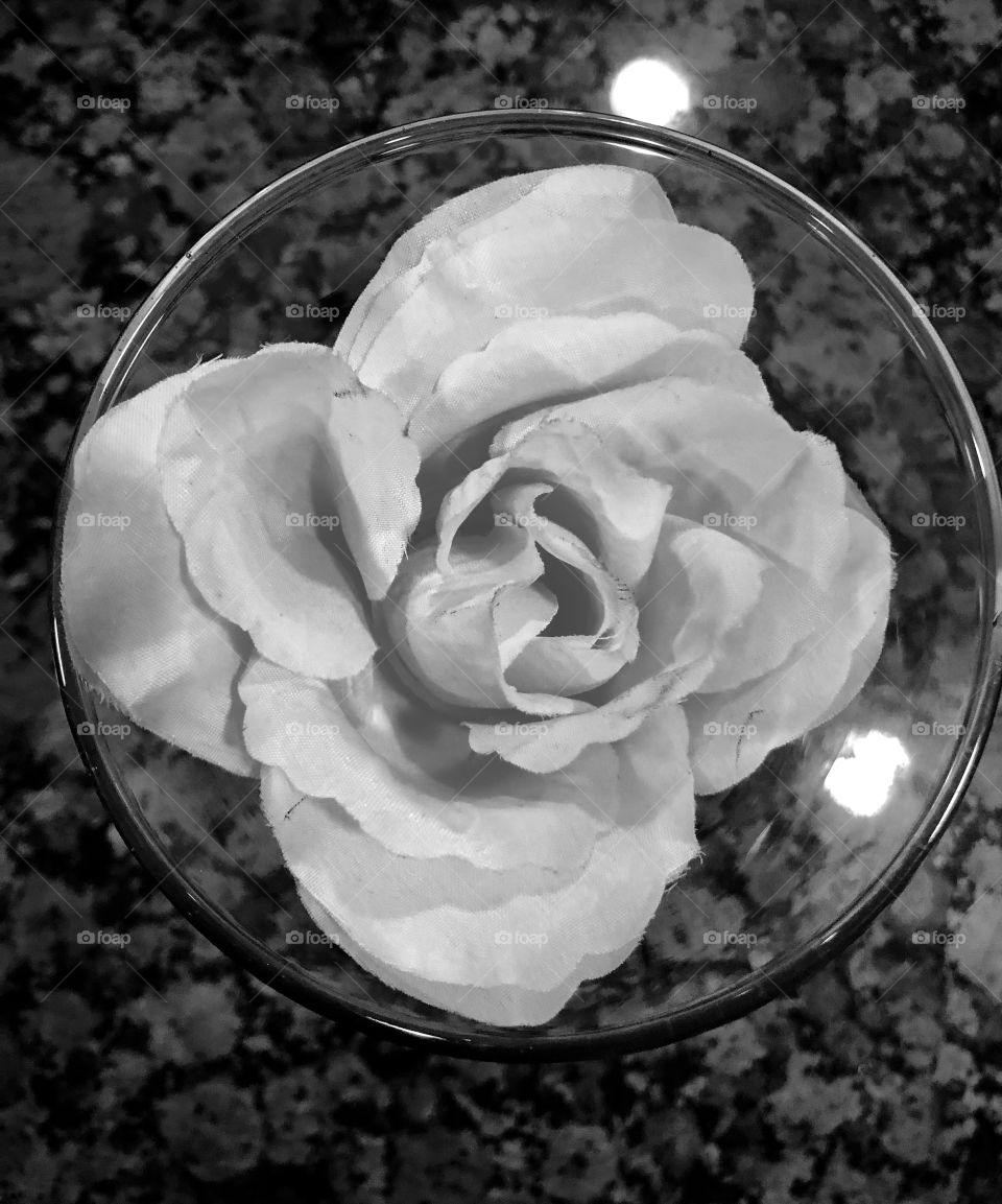 Black and white rose