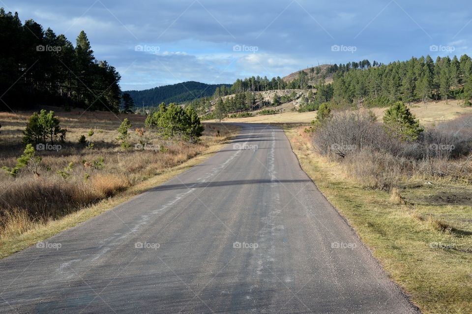 Where do you want to go today? Road through Custer State Park in South Dakota. 