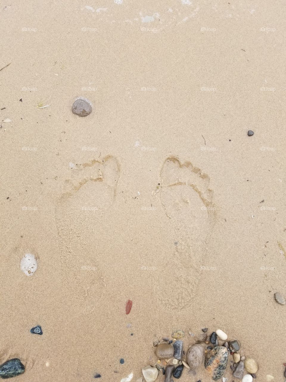 Footprints in the sand