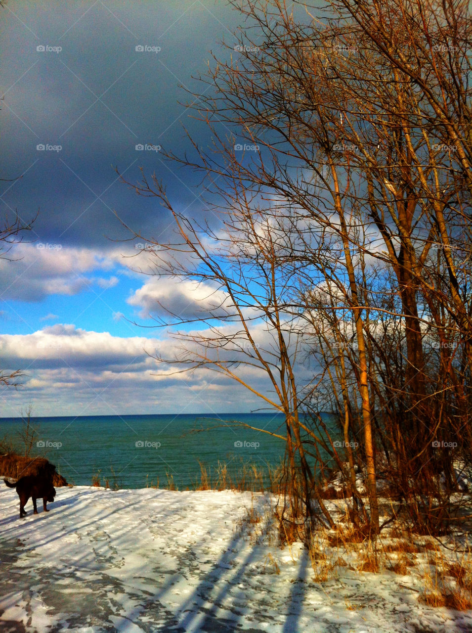 Snow, Winter, No Person, Tree, Water