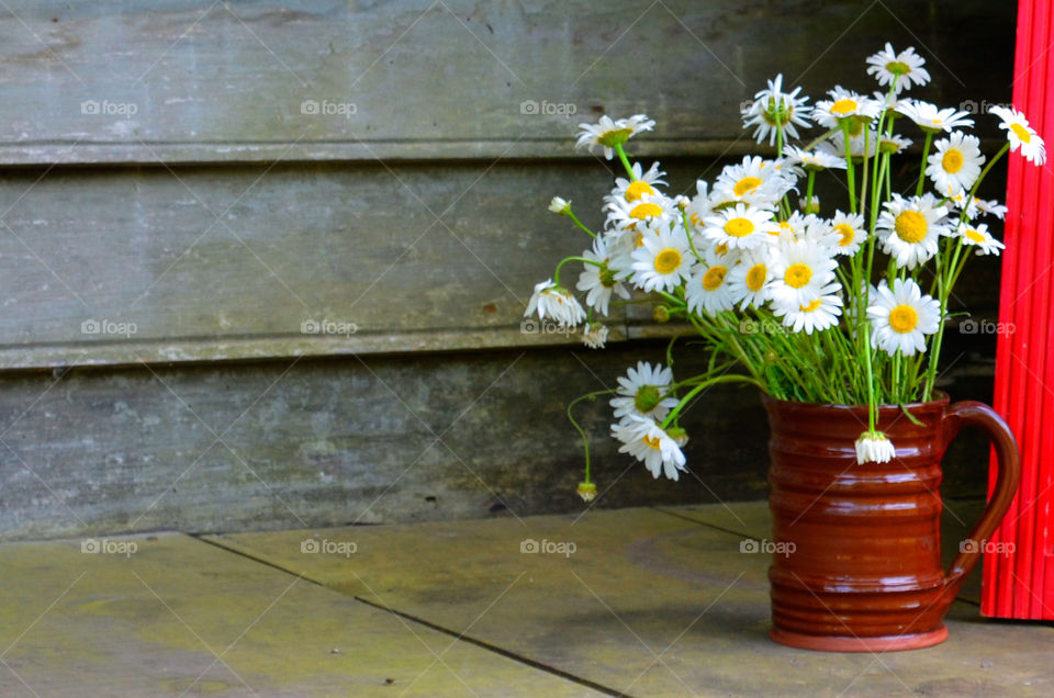 Take the Nostalgic Way Home ( Series )