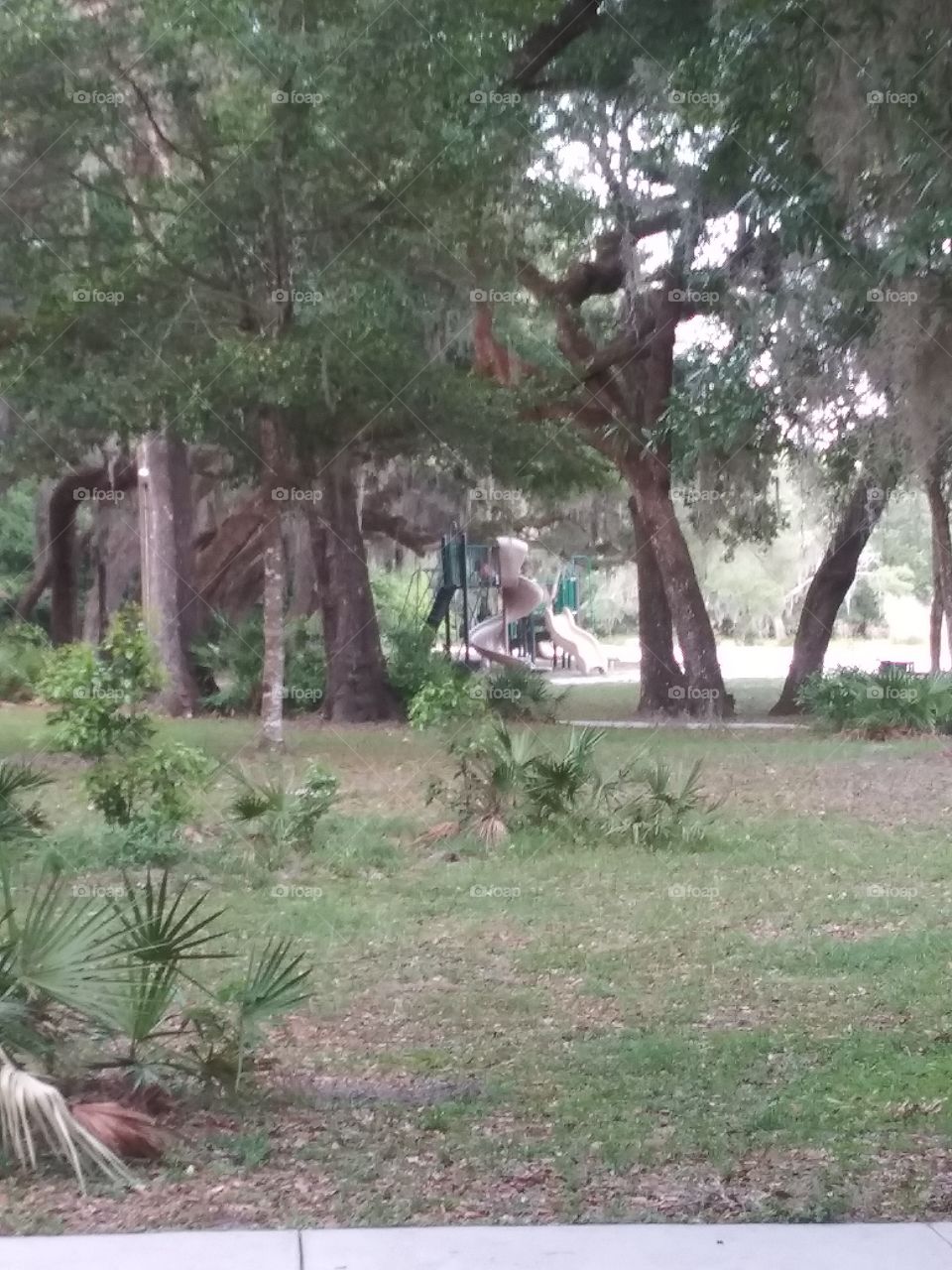 Playground between the trees