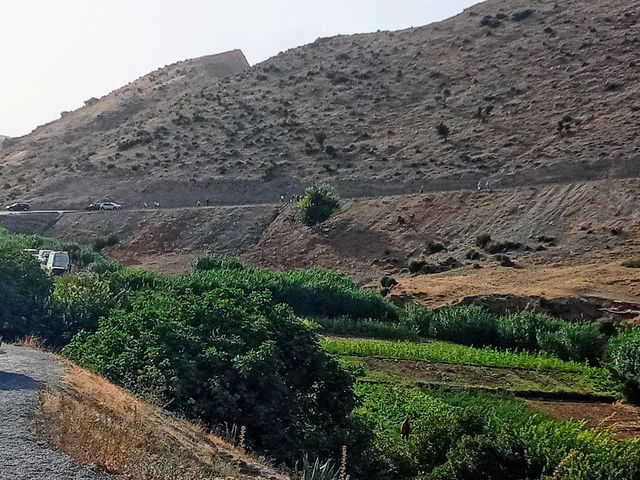 Landscape