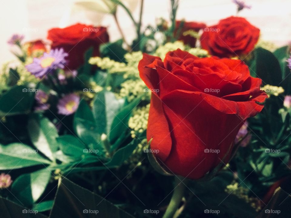 Rosas con amor 