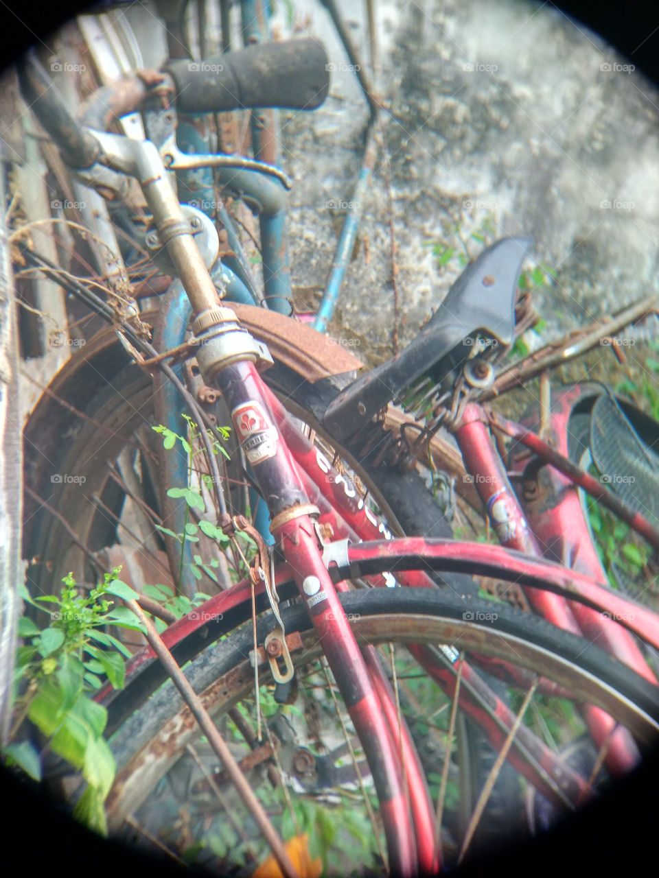 Old bike