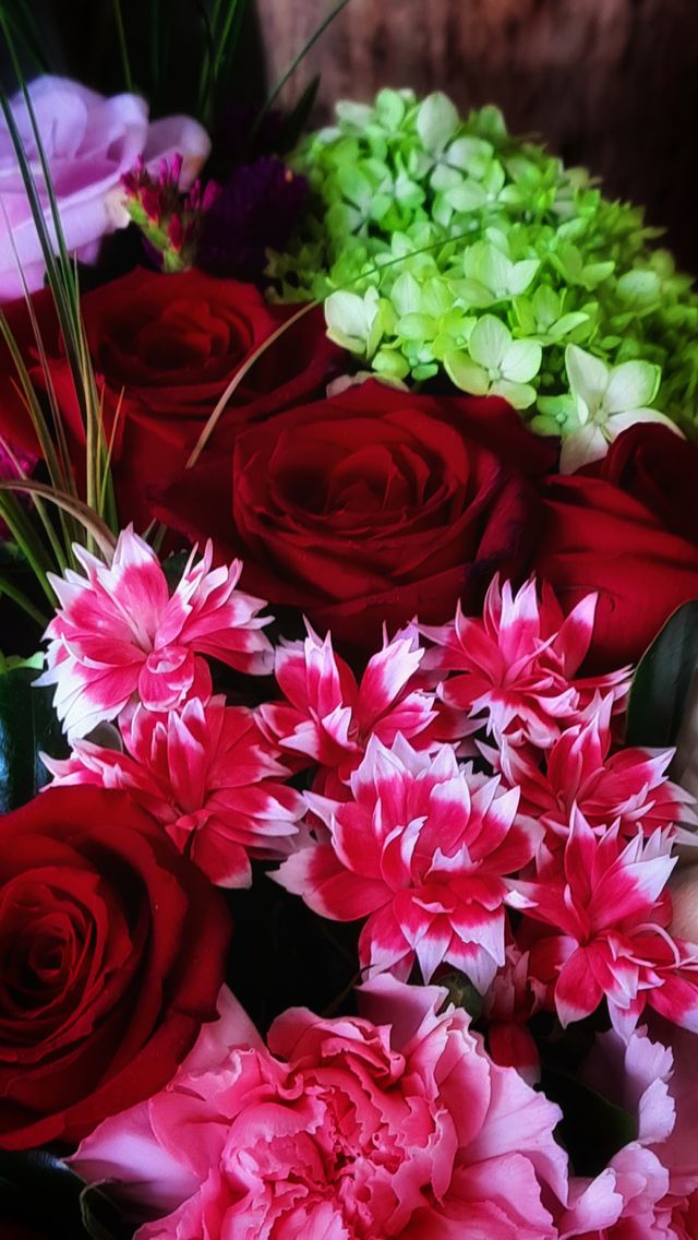Red roses,decoration,floral,garden,plant,blossom,spring,summer,colorful,landscape,nature,reflection,botany,red,rose,flower,reflection,season,love,romance