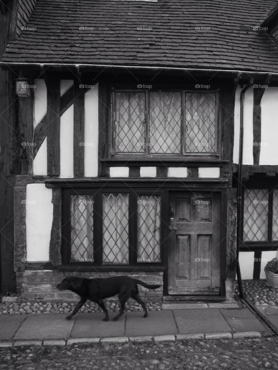 Tudor house