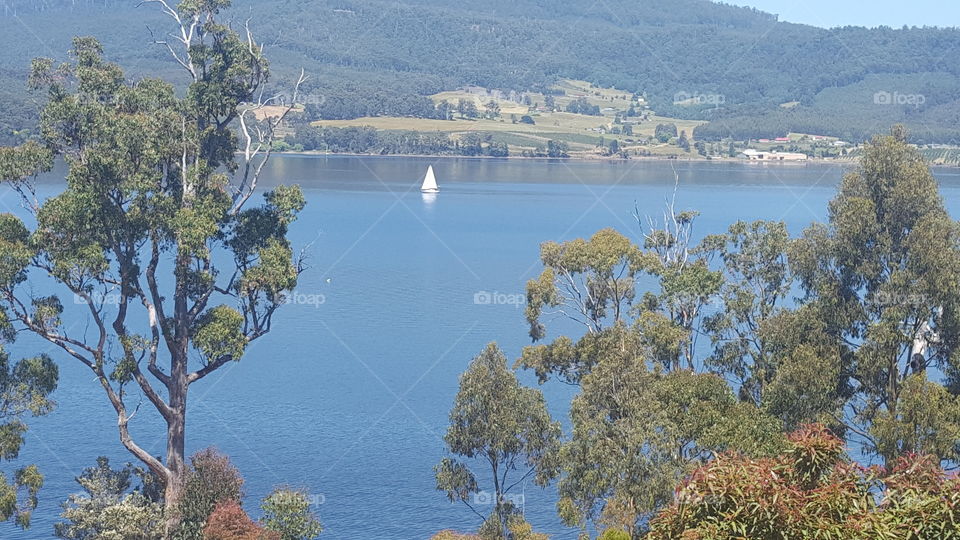 Huon River